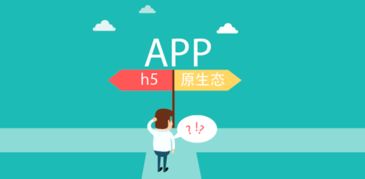 新疆熵客云 專屬定制的網頁設計、App開發與烏魯木齊網站建設推廣專家